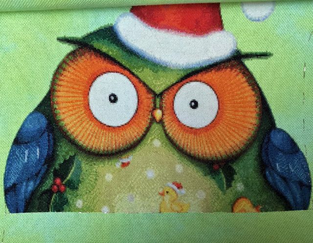Santa Owl 6 pages
